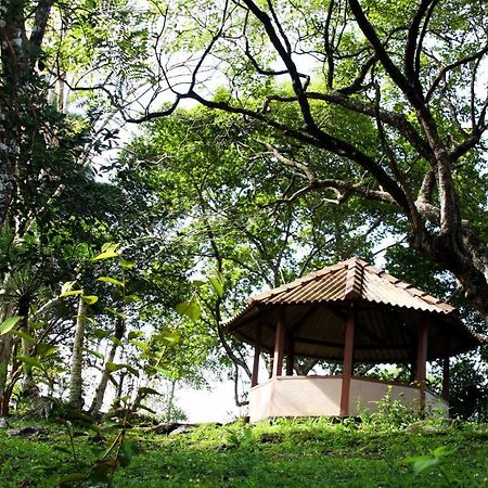 Rajanawa Resort Ratnapura Εξωτερικό φωτογραφία